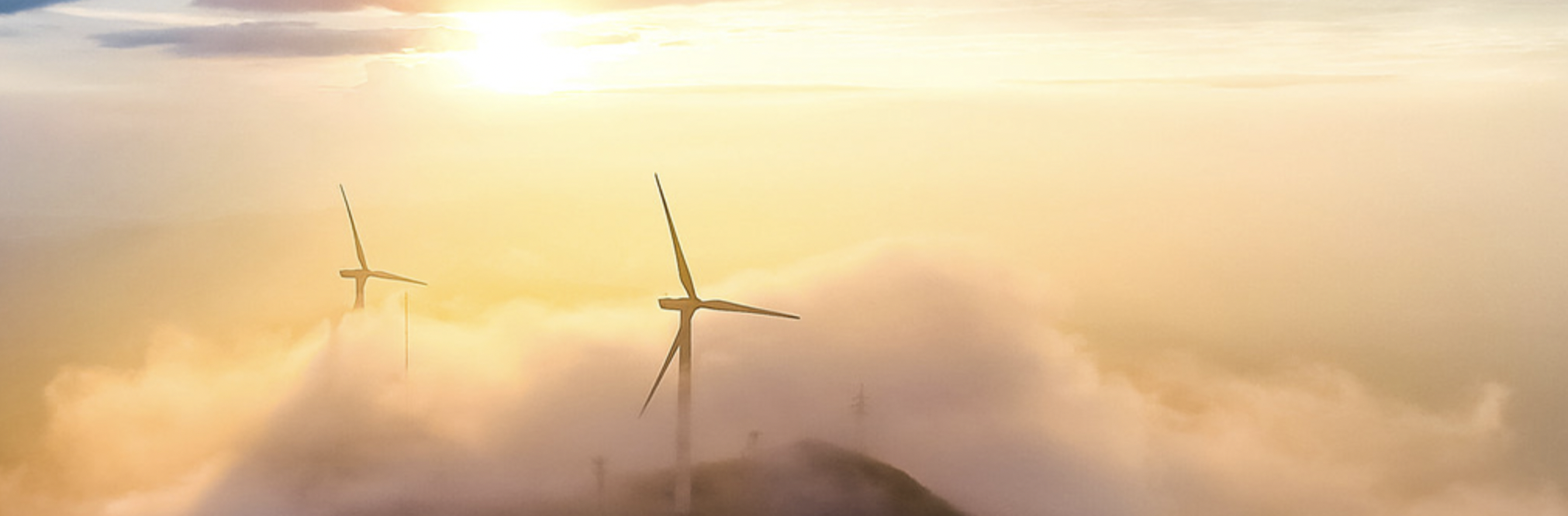 ������������ڶ��������й��ܽ�����˾��������Ա������С�ǡ���������ҵ������+����������