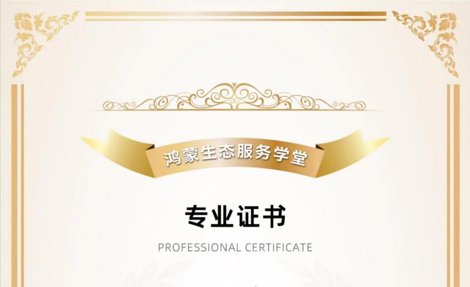 �˲Ŵ�����������������������ڶ����ӹ�˾�������������ʦ�ٻ�����������ԭ��Ӧ�ÿ�����ѵ��ʦ����֤